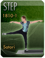 Cartela Gimnasio en Casa Gym Virtual 181022-satori-step-d15