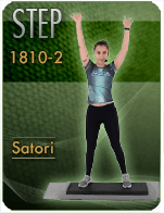 Cartela Gimnasio en Casa Gym Virtual 181029-satori-step-d15