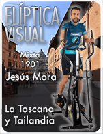 Cartela Gimnasio en Casa Gym Virtual VW-190122-jesus-iw-mixta-d21