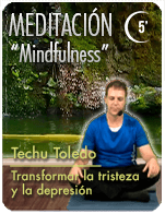 Cartela Gimnasio en Casa Gym Virtual ZBF-221104-techu-meditacion3-5m-transformartristezaydepresion-d25