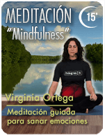 Cartela Gimnasio en Casa Gym Virtual ZBF-230109-virginia-meditacion8-15m-sanaremociones-d26