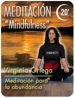 Cartela Gimnasio en Casa Gym Virtual ZBM-230109-virginia-meditacion9-20m-atraerdinero-d26