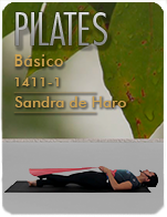 Cartela Gimnasio en Casa Gym Virtual ZBP-141120-sandra-pilates1-d30