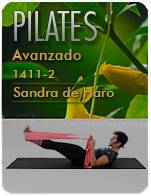 Cartela Gimnasio en Casa Gym Virtual ZBP-141120-sandra-pilates2-d30