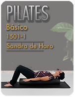 Cartela Gimnasio en Casa Gym Virtual ZBP-150115-sandra-pilates1-d30