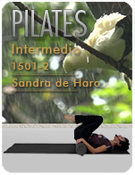 Cartela Gimnasio en Casa Gym Virtual ZBP-150115-sandra-pilates2-d34