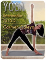 Cartela Gimnasio en Casa Gym Virtual ZBY-141013-carmen-yoga2-d26