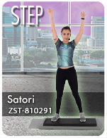 Cartela Gimnasio en Casa Gym Virtual ZST-181029-satori-step-d19