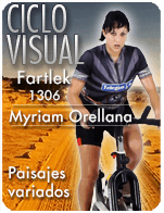 Cartela Gimnasio en Casa Gym Virtual ZVN-130614-myriam-ciclo-fartlek-d20