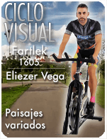 Cartela Gimnasio en Casa Gym Virtual ZVN-160519-eliezer-ciclo-fartlek-d20