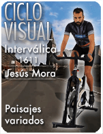 Cartela Gimnasio en Casa Gym Virtual ZVN-161118-jesus-ciclo-intervalica-d20