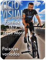 Cartela Gimnasio en Casa Gym Virtual ZVN-161212-jesus-ciclo-fartlek-d20