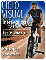 Cartela Gimnasio en Casa Gym Virtual ZVN-161212-jesus-ciclo-intervalica-d20