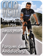 Cartela Gimnasio en Casa Gym Virtual ZVN-170508-jesus-ciclo-intervalica-d20