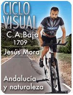 Cartela Gimnasio en Casa Gym Virtual ZVN-170908-jesus-ciclo-cab-d20