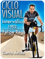 Cartela Gimnasio en Casa Gym Virtual ZVN-190225-felipe-ciclo-intervalica-d24