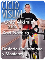 Cartela Gimnasio en Casa Gym Virtual ZVN-210317-xavin-ciclo-onlyalkimie-d24