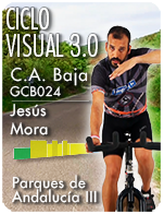 Cartela Gimnasio en Casa Gym Virtual ZVP-170614-jesus-ciclo-cab-d43-GCB024